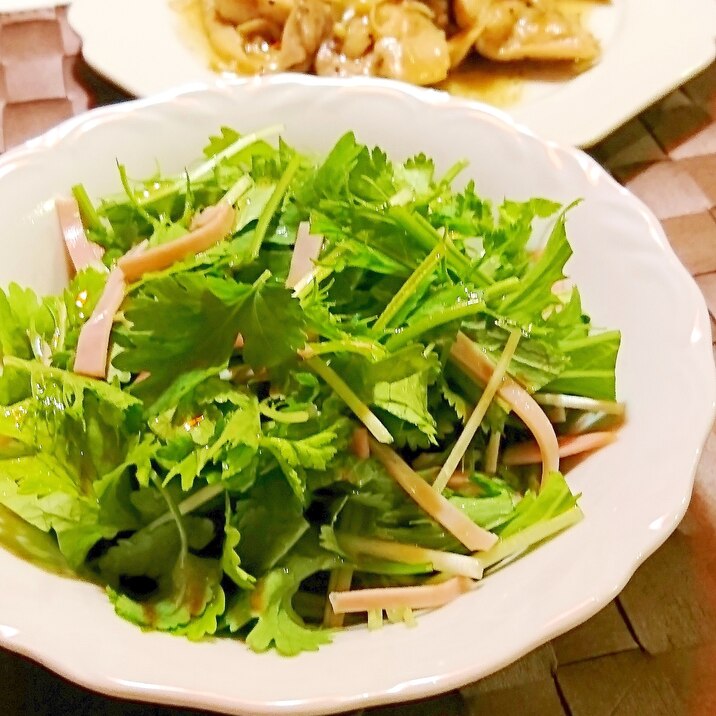 パクチーと水菜とハムのサラダ